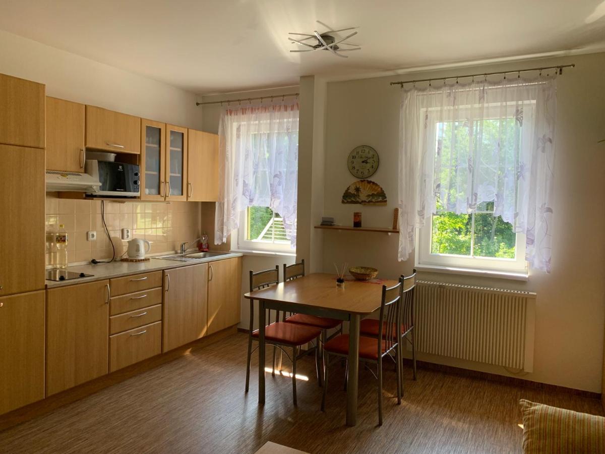Karlov Pod Pradedem Apartmany Orbit Bagian luar foto